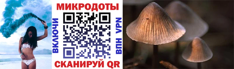 Псилоцибиновые грибы GOLDEN TEACHER  Красноармейск 