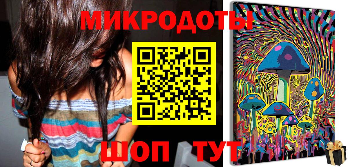Псилоцибиновые грибы Cubensis Красноармейск
